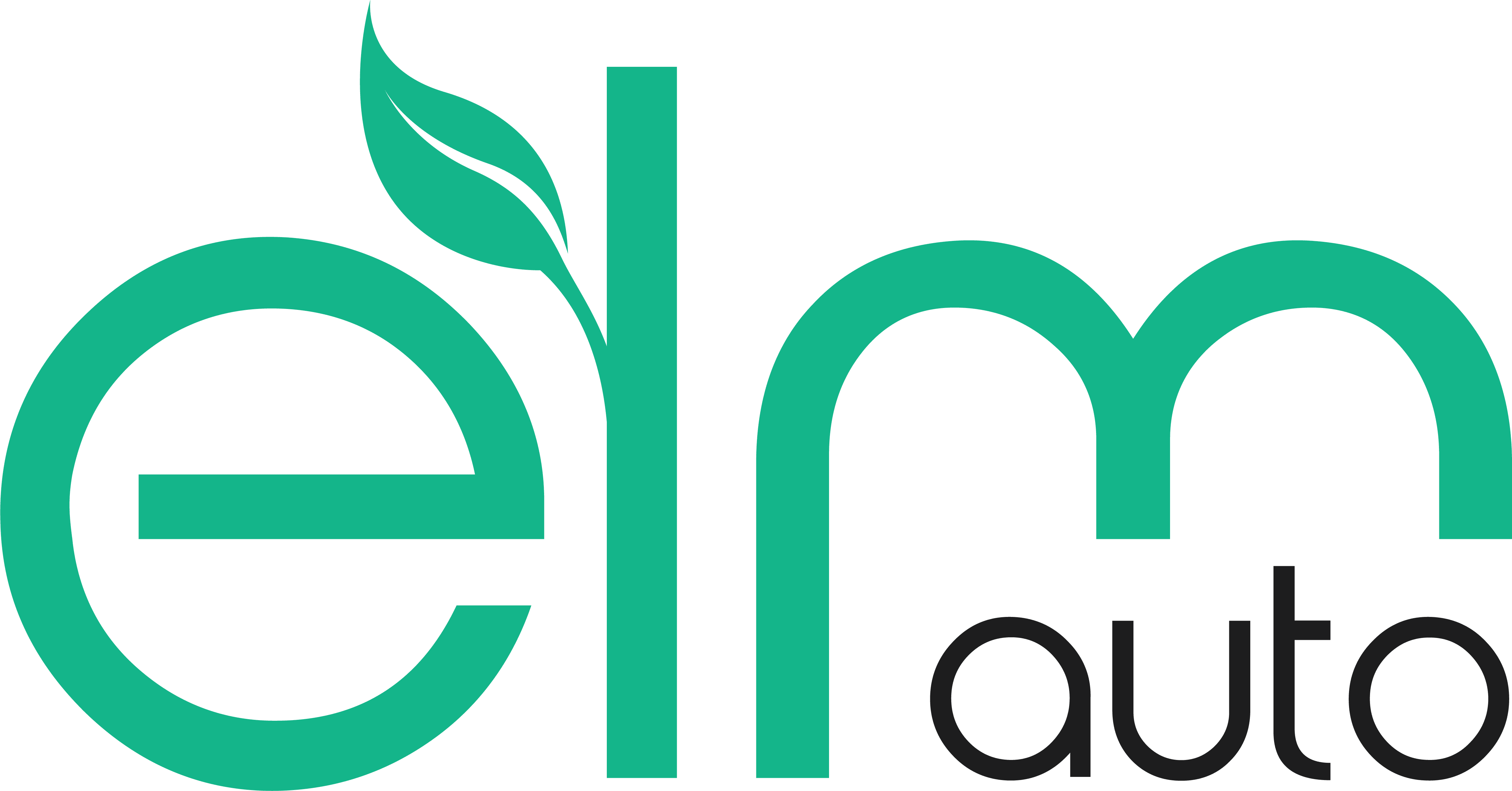 ELM Auto Logo